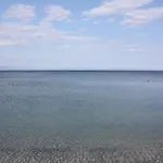 Ageranos * 瓦西